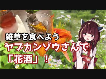 【思い切って野草を食べてみよう】#23 ヤブカンゾウさんで「花酒」！