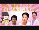 【ゆっくり解説】蓮舫について徹底的にゆっくり解説