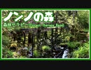 2021/06/22放送（編集版【91日目 北海道 ノンノの森ネイチャーセンター Forest Therapy Base】北海道全市町村制覇するまで帰れまてん！　猫と車中泊の旅　日本縦断【旅猫あずき】