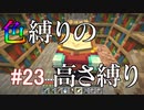 【Minecraft】色縛りの高さ縛り【Part 23】