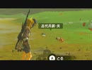 依頼を受けて、変装イーガ団に矢を撃って矢を空中で停止させてみた