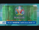 全体主義者に呑まれるスポーツ・中国企業がサッカー欧州選手権でスポンサーの３分の１を占める
