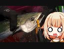 【VOICEROIDフィッシング】楽しいカヤックフィッシング #7 サゴシ、サワラ