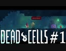 【Dead Cells #1】自分が何者なのか探しに行く