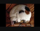 【オリジナル曲】SweetSauce／Reverse【AIきりたん】