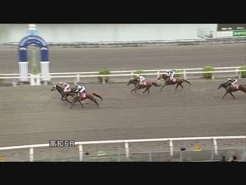 人気の 高知競馬 動画 36本 2 ニコニコ動画