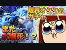 夢にまで見た！！！花婿イデアくん！！！！！