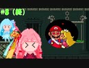 【VOICEROID実況】スーパーコトノハシスターズ2 ＃8【スーパーマリオブラザーズ2】