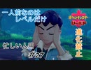 ＃忙しい人用　またも迷走を始めたホップ㉗【ハイライト版ポケモン盾】
