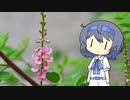 【CeVIO写真】息抜きスナップショット＿47枚目【ちょっと早い萩】