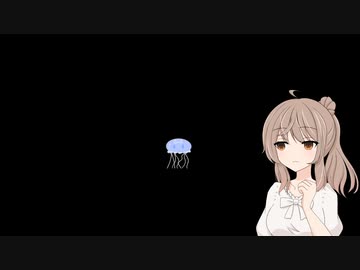 .(sasara)