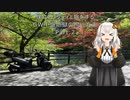 僕はトリシティと旅をする「GW地獄の鴨川方面」Part2
