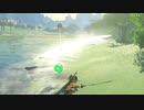 依頼を受けて、水オクタの岩をビタロックして遊んでみた