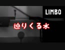 終始真っ暗？【LIMBO】Part４