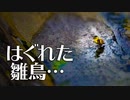 カルガモ親子に餌やり悲劇。雛鳥がはぐれて襲われる。野鳥に餌をあげないで。水鳥にパンは病気や奇形の原因にもなります。
