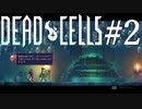 【Dead Cells #2】強くなれる理由を知ったがそれはそれ
