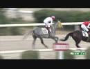 【Ｃ２－６組Ｃ２】ゴルシ産駒・コスモユニックの差し脚