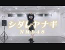 【ありちゃん】シダレヤナギ/NMB48【踊ってみた】