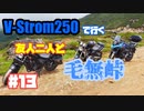 #13 V-Strom250で行く 友人二人と ～ 毛無峠 ～