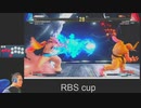 【SFV】Twitterの募集に参加したRBScupの模様をお送りいたします。【字幕解説感想あり】