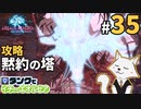 #35【FF14】タンクでイチからエオルゼア【斧術士/戦士】パッチ2.5希望の灯火 2