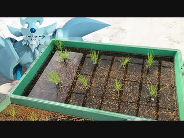 稲作するオベリスクの巨神兵