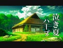 切ない夏の物語【癒しBGMメドレー】どこか懐かしい、心に響く音楽集