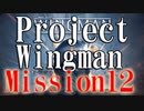 【実況中継】M12(ミッドナイト･ライト) -Project Wingman-