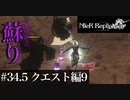 三人兄弟の妹が実況する【NieR Replicant ver.1.22】#34.5　クエスト編９