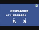 【政見放送】毛糸 岩手県知事候補