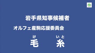 【政見放送】毛糸 岩手県知事候補