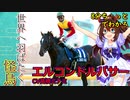 ８分ちょっとでわかる【ウマ娘】世界へ羽ばたく怪鳥【エルコンドルパサー】