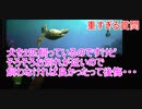 重すぎる質問にクラッシュどう答える？【タートルトーク】東京ディズニーシー