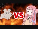 茜ちゃんVSねずみ
