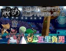 【ポケモン剣盾】草タイプの一貫とかいう珍しい構築【ダブルバトル】