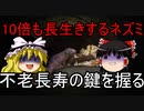 〇〇でも死なない！？哺乳類で唯一老化が確認できないハダカデバネズミが色々ぶっ飛んでた