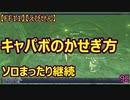 【FF11】【えびせん】キャパボのかせぎ方　ソロまったり継続　92