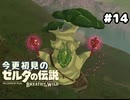 【ゼルダの伝説ブレスオブザワイルド】見た目に反して声がかわいい【実況プレイ】#14