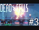 【Dead Cells #3】逆だったかもしれねえ・・・