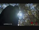 『舌尖上の中国 第二期』第二話「足が步」