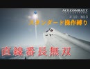 【エースコンバット7】ベテランエースのスタンダード操作縛り＃１０【速力は正義】
