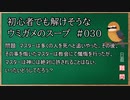 【ウミガメのスープ】　初心者でも解けそうなウミガメのスープ　【水平思考クイズ】　#030　「神にすら許されない」