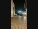 ミラーボール？ラブ