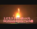 【Minecraft /#ぷんくら2】ガストを狩りながら今後の動画方針の話【すかいぶろっく編71日目】