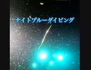 ナイトダイビング・ナイトブルーダイビング沖縄