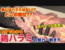 プロが教える!!鶏ハラミの魅力と捌き方