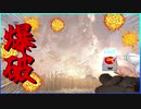 【バイオハザード8】爆ゼンベルクとカービィ　#11【実況】