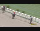 【３歳Ｃ２一組】ゴルシ産駒・コスモジェニーの大差勝利