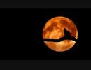 第2夜