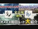 【MHRize】2種のトカゲの全出現場所徹底解説です！モンハンライズで遊ぼう！part6